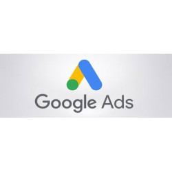 Plan inicial Google ADS -...