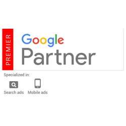 Plan Premium Google ADS -...