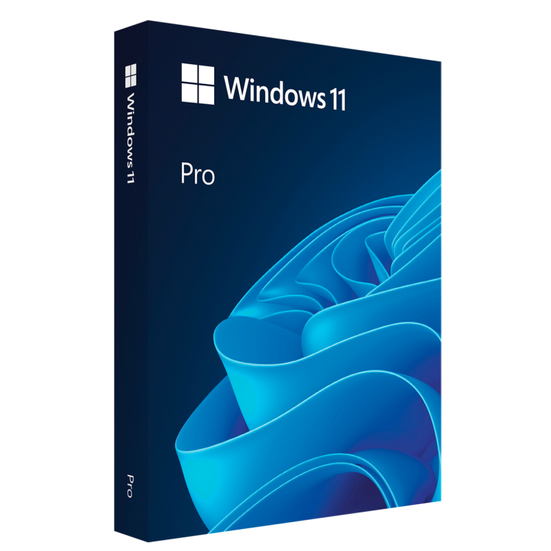 Windows 11 Pro